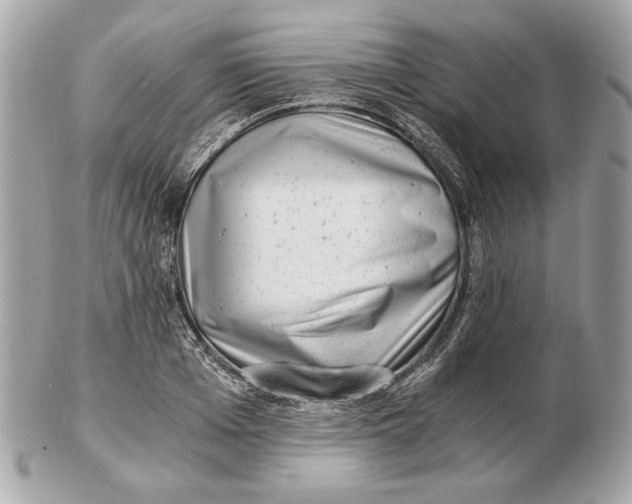 X0000102480985200808291623