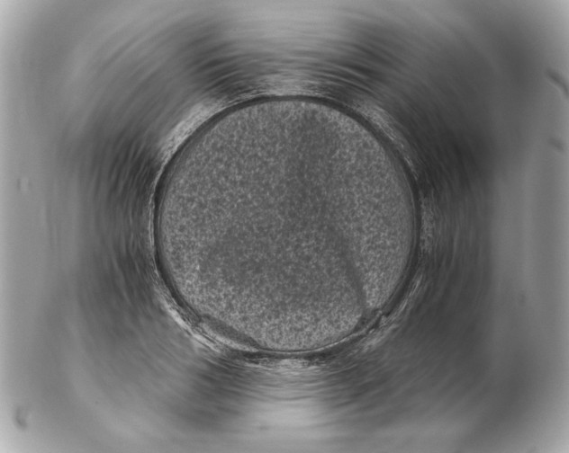 X0000102480986200808291623