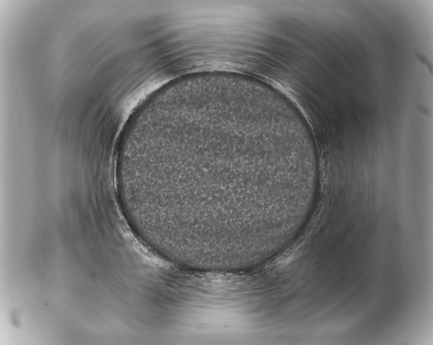 X0000102480987200808291623