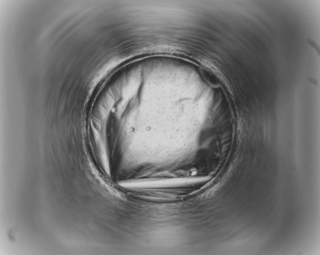 X0000102480989200808291623