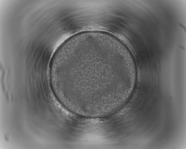 X0000102480990200808291623