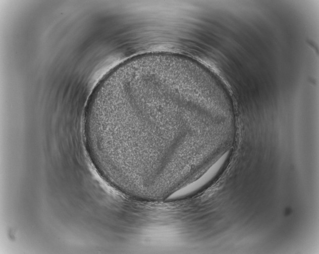 X0000102480991200808291623