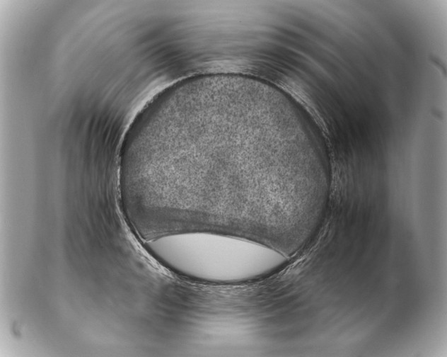 X0000102480992200808291623