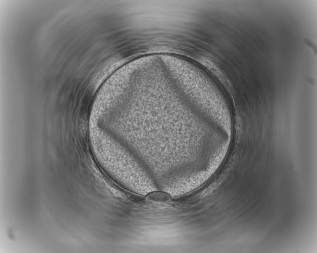 X0000102480993200808291623