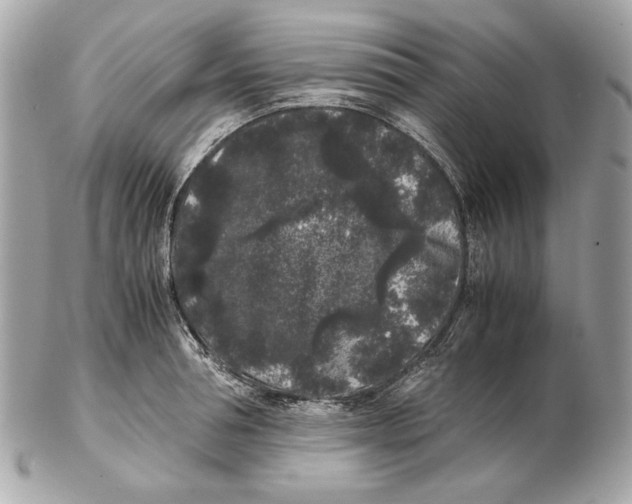 X0000102480994200808291623