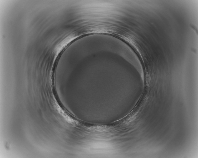 X0000102480995200808291623