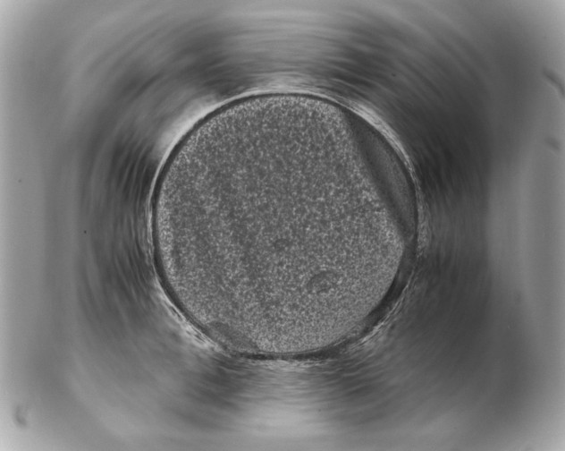 X0000102480996200808291623