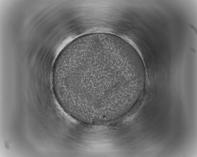 X0000102480997200808291623