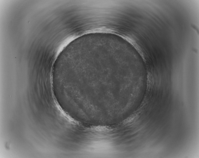 X0000102480998200808291623