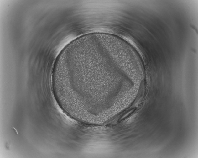 X0000102480999200808291623