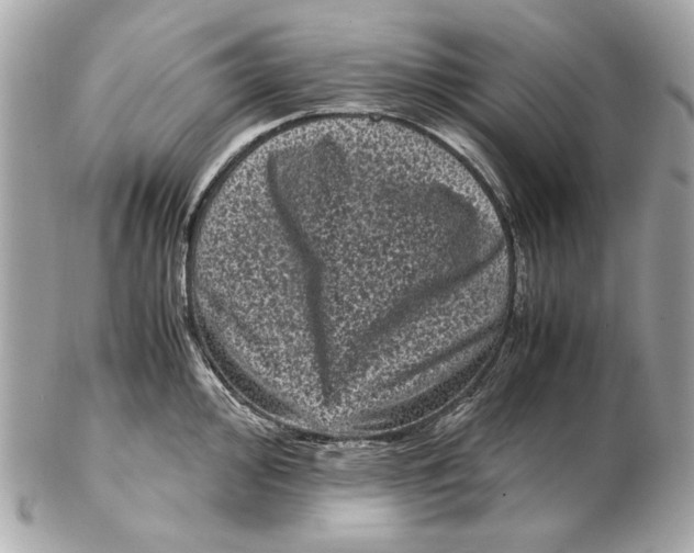 X0000102481000200808291623