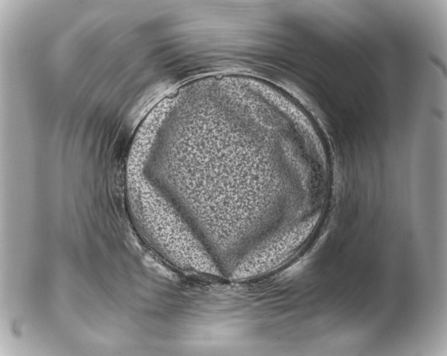 X0000102481001200808291623