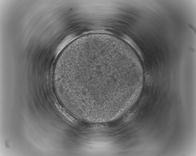 X0000102481002200808291623