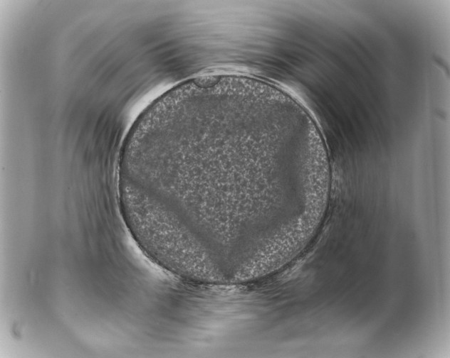 X0000102481003200808291623