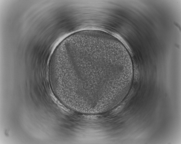 X0000102481004200808291623