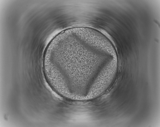 X0000102481005200808291623