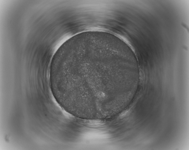 X0000102481007200808291623