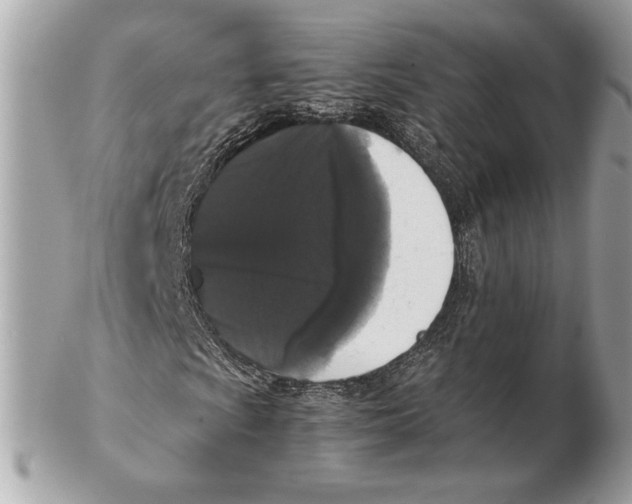 X0000102481009200808291622