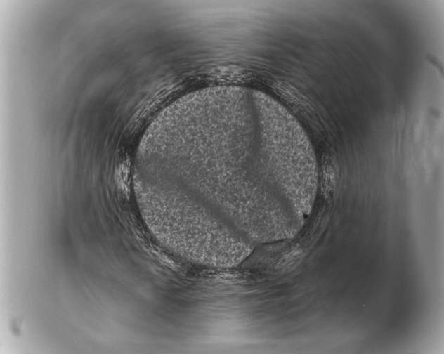 X0000102481010200808291622