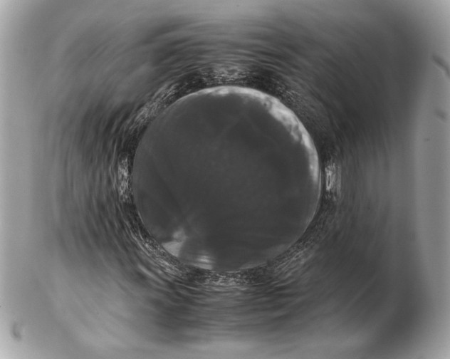 X0000102481011200808291622