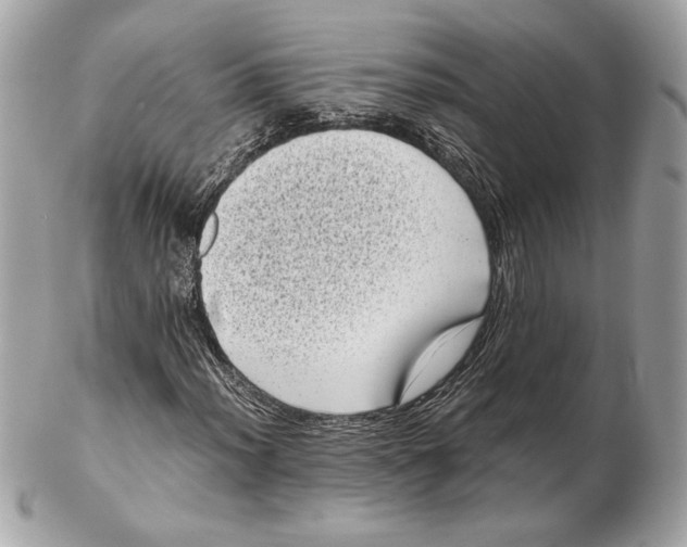 X0000102481012200808291622