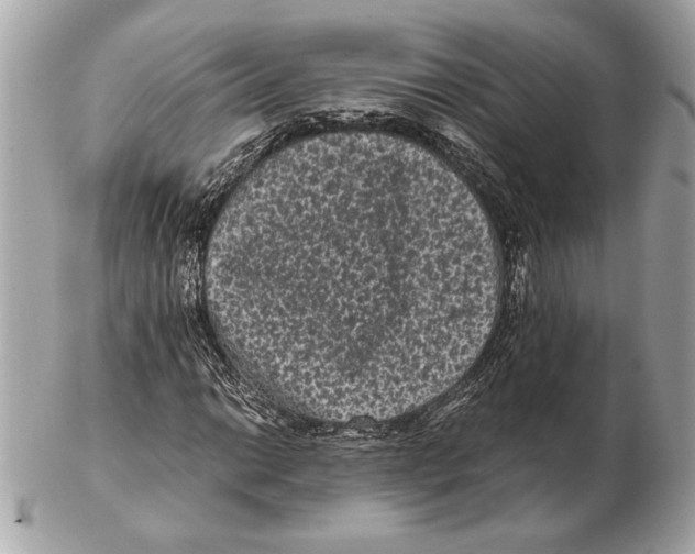 X0000102481014200808291622