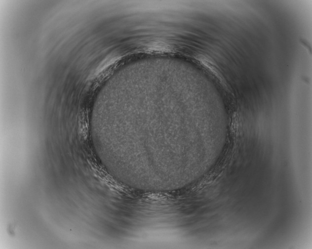 X0000102481015200808291622