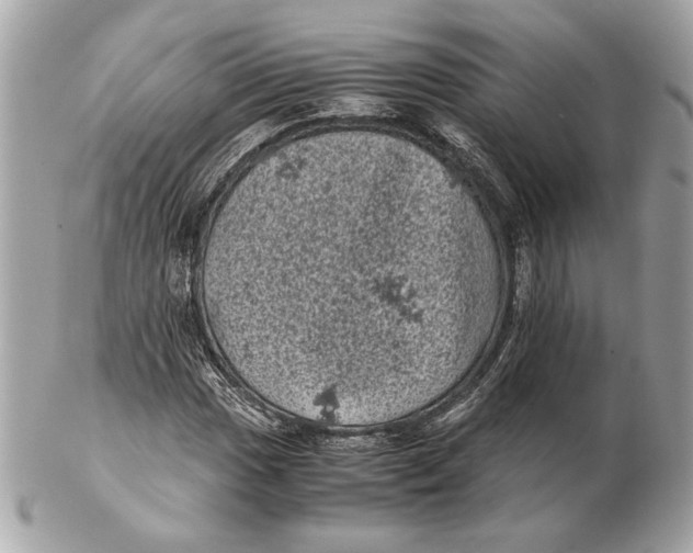 X0000102481017200808291622