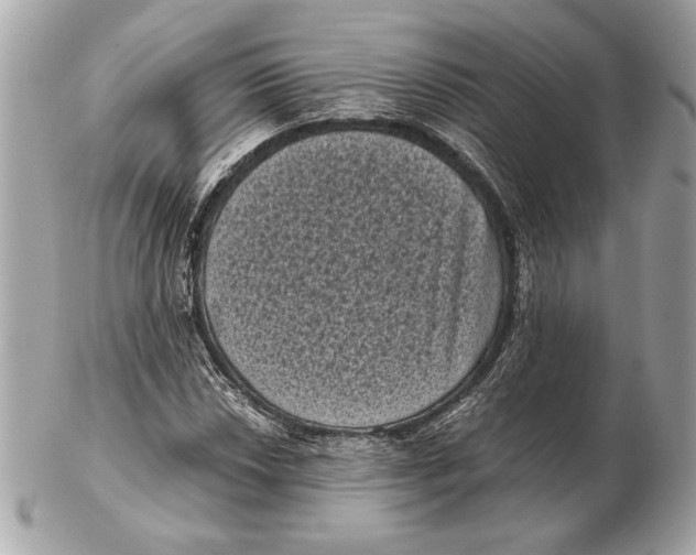 X0000102481018200808291622