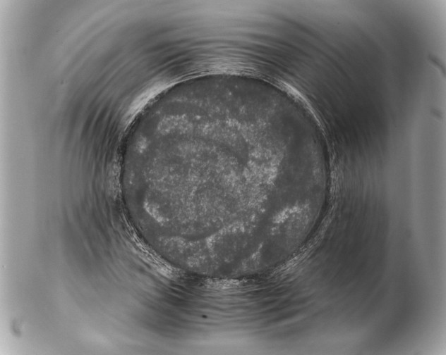 X0000102481019200808291622