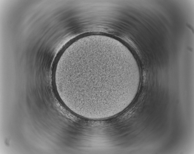 X0000102481020200808291622