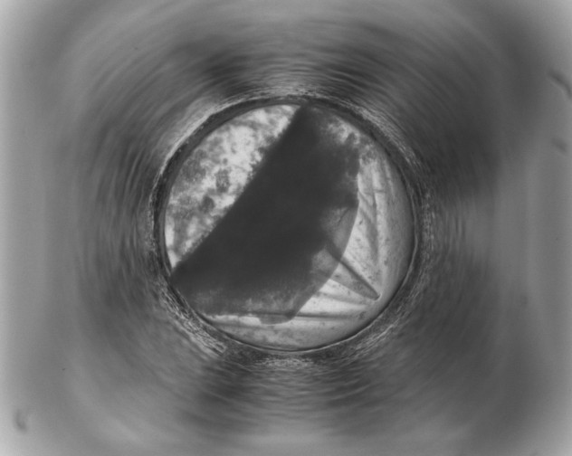 X0000102481023200808291622