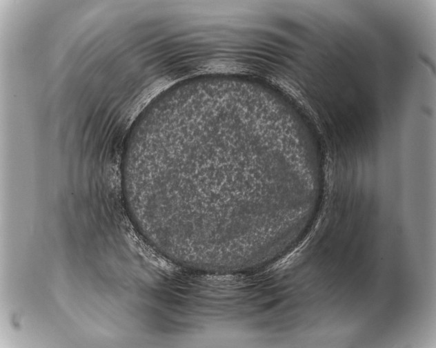 X0000102481025200808291622