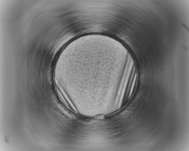 X0000102481026200808291622