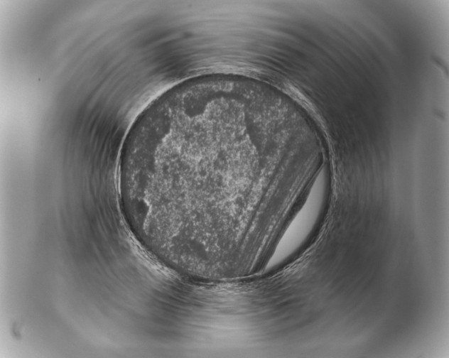 X0000102481028200808291622