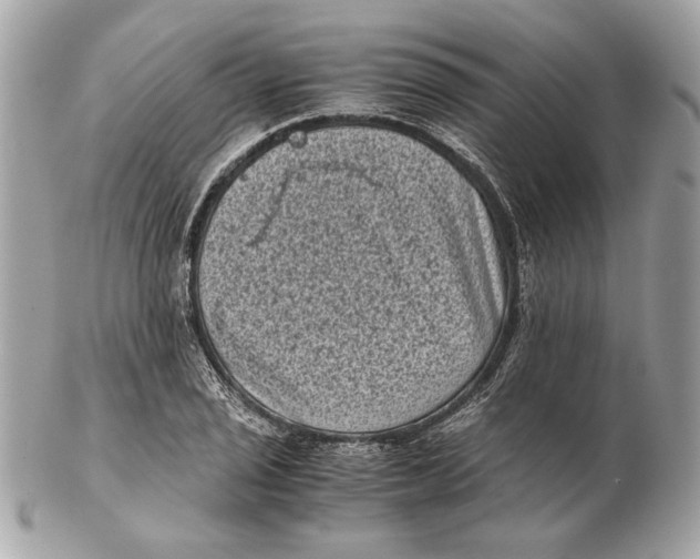 X0000102481029200808291622