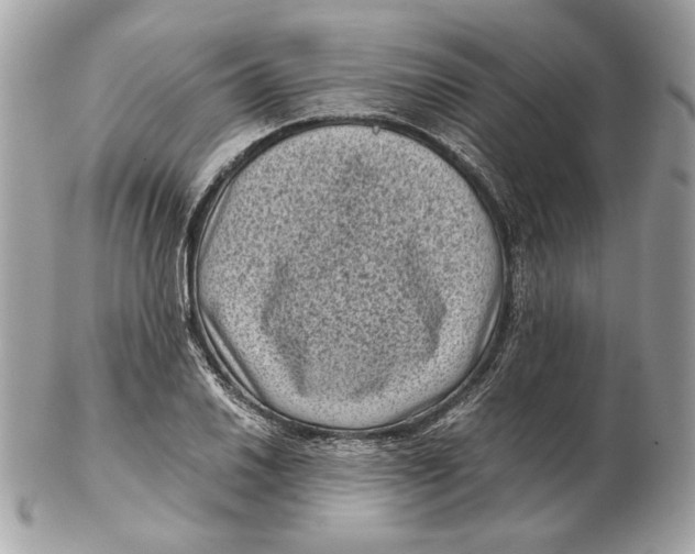 X0000102481030200808291622