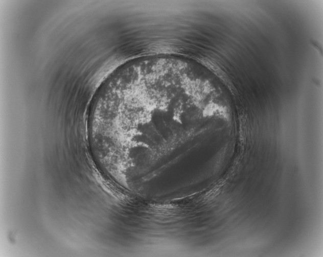 X0000102481031200808291622