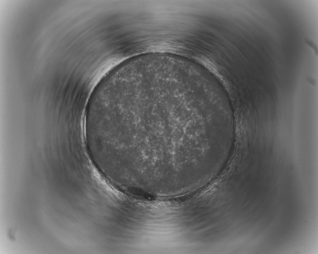 X0000102481032200808291622