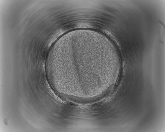 X0000102481033200808291622