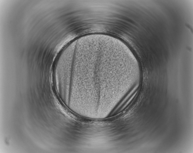 X0000102481034200808291622