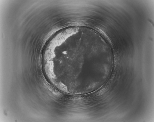 X0000102481035200808291623