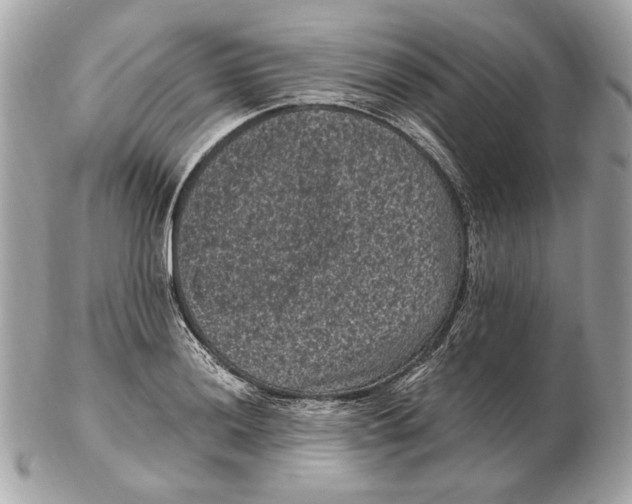 X0000102481036200808291623