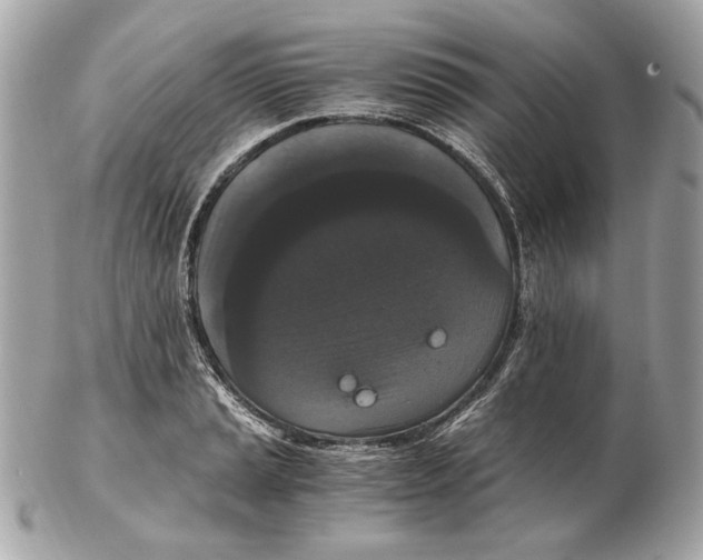 X0000102481037200808291623