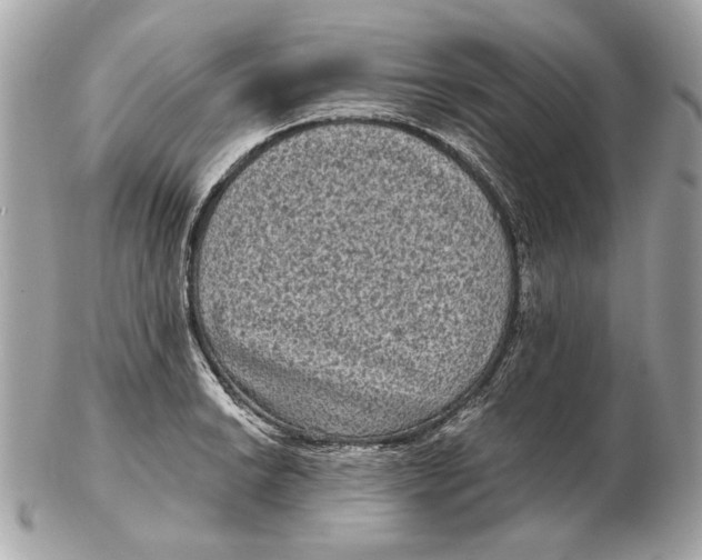 X0000102481038200808291623