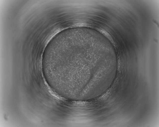 X0000102481039200808291623