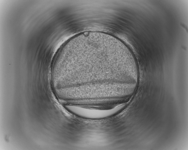 X0000102481040200808291623