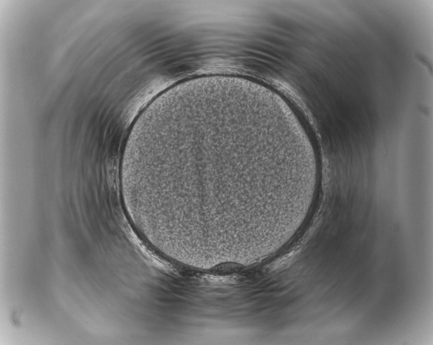 X0000102481041200808291623