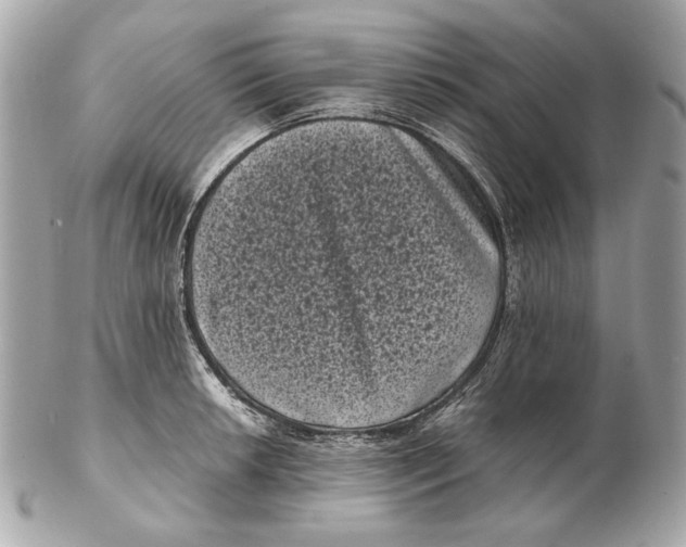 X0000102481042200808291623