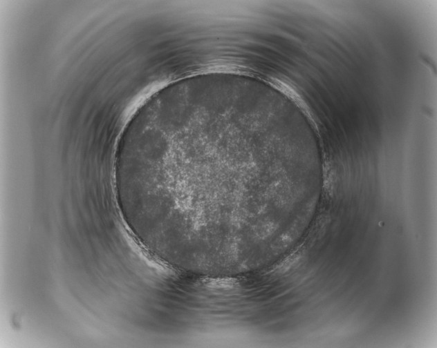 X0000102481043200808291623